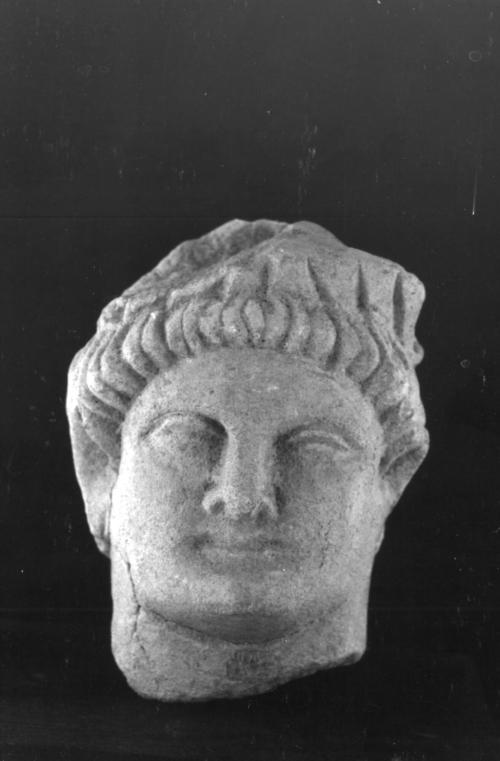 Head, male
