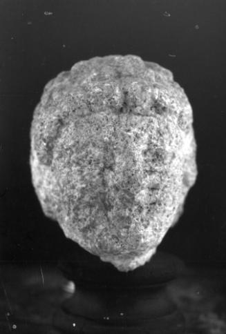Head