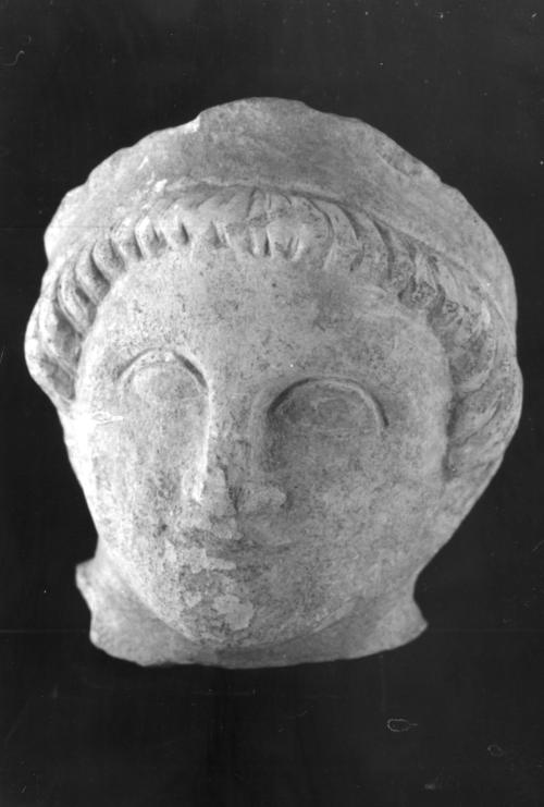 Head, male