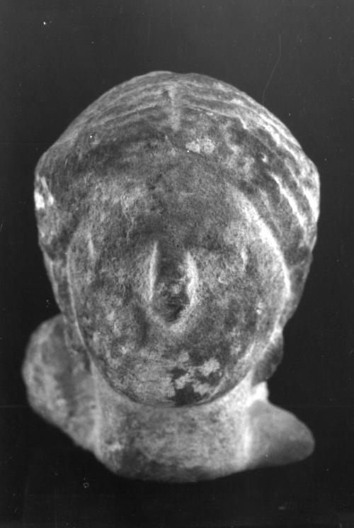 Head, female