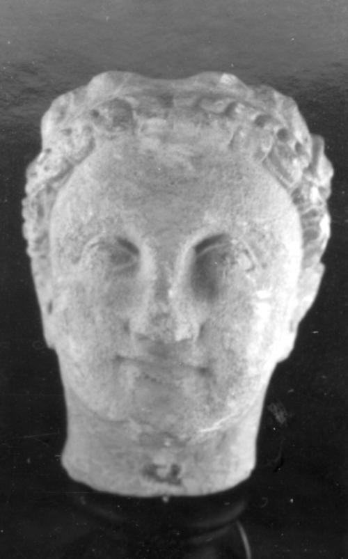 Head, male