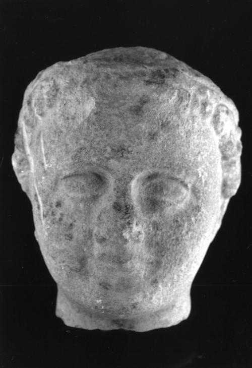 Head, male