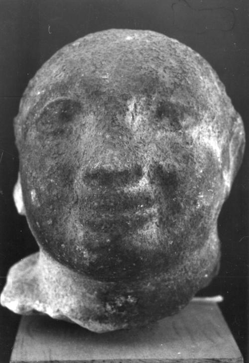 Head, male