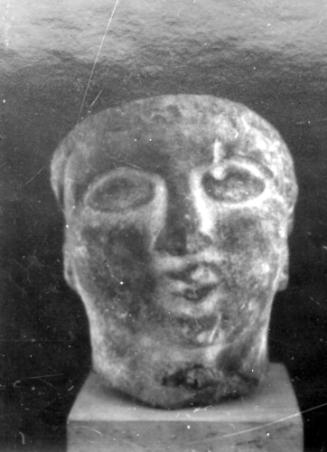 Head, male