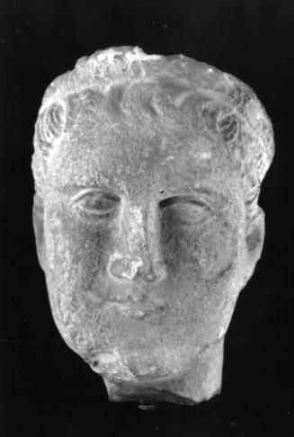 Head, male