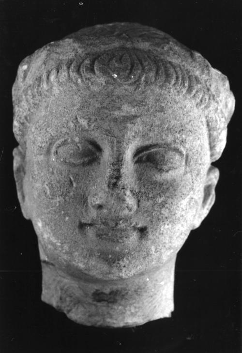 Head, male