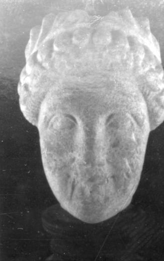Head, male