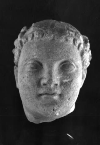 Head, male