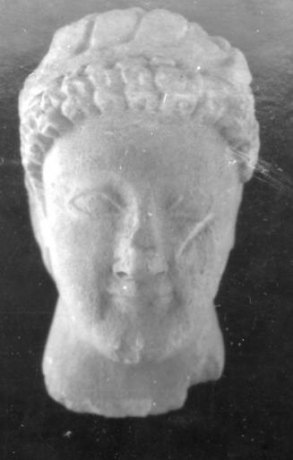 Head, male
