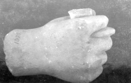 Hand
