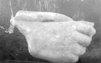 Hand holding branch