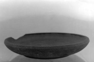 Plate