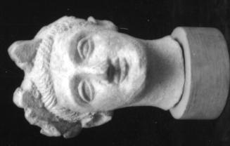 Head, male