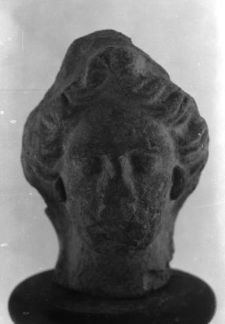 Head, female