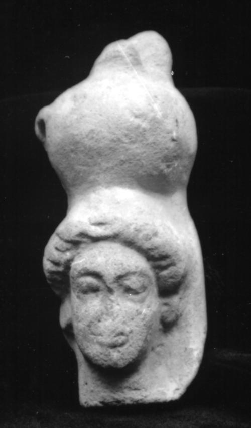 Head, female