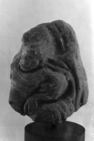 Head, female
