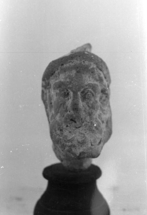Head, male