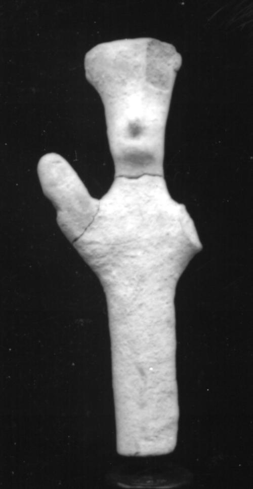 Plank Figure