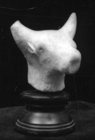 Bulls' head