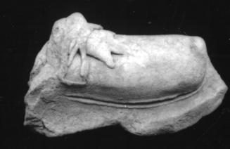 Foot