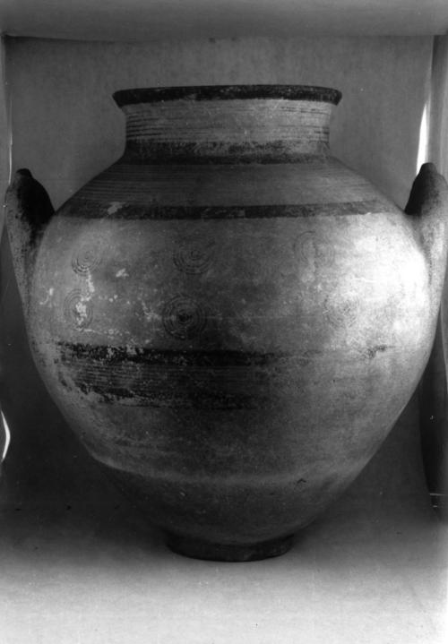 Amphora