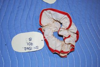 Costume of dog (Charlie Bell's dog)