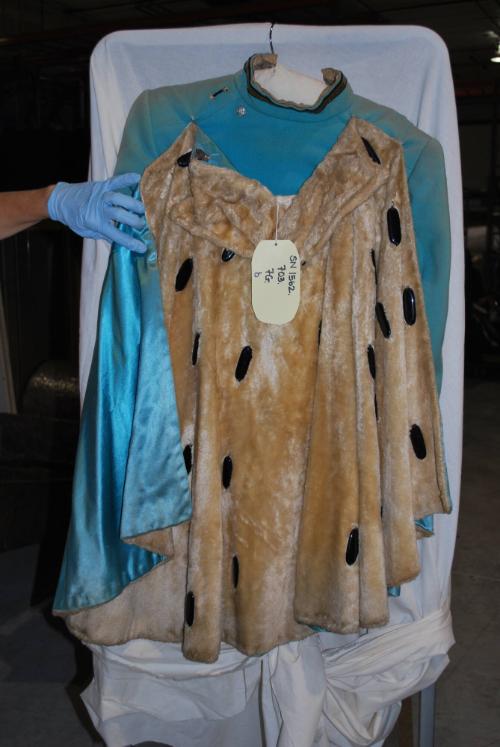 Women's Guardsmen spec cape