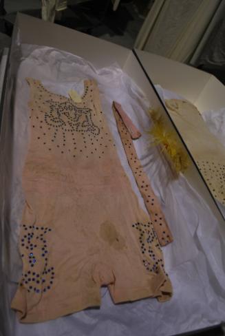 Pink Leotard from costumes worn by Siegrist-Silbon and Ernestine Clark