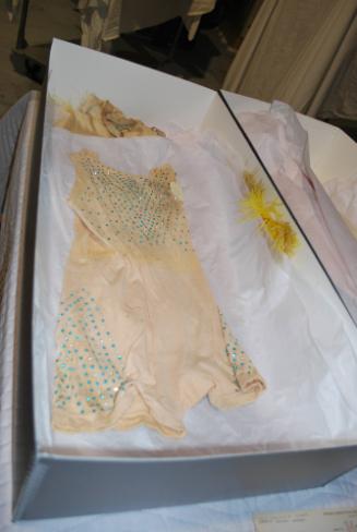 Peach Leotard from costumes worn by Siegrist-Silbon and Ernestine Clark