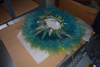 Feather Skirt for Costume