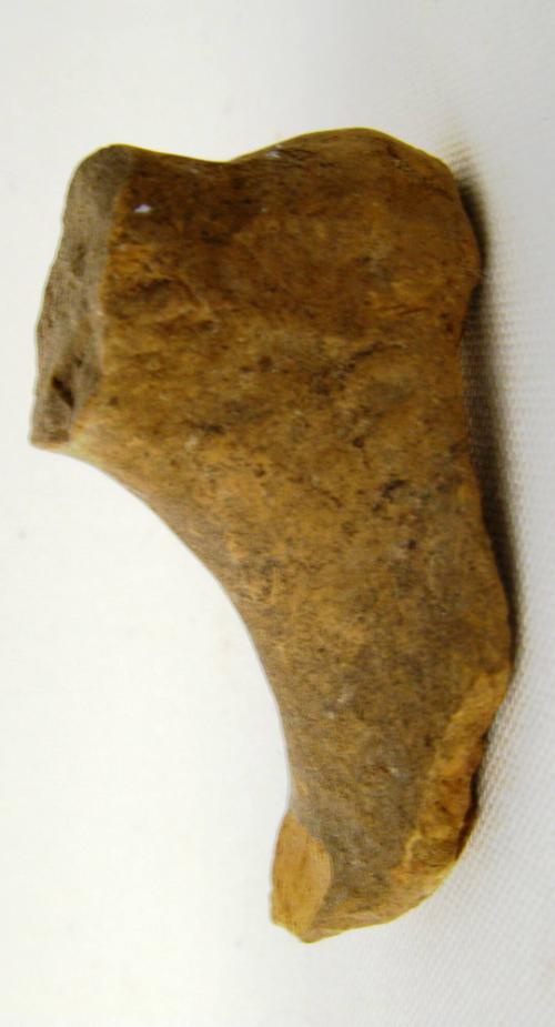 Foot