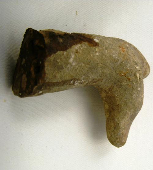 Head, Horse
