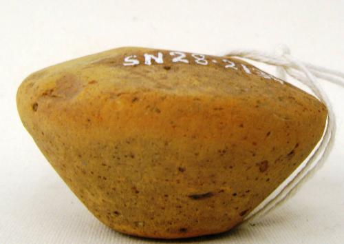 Spindle Whorl
