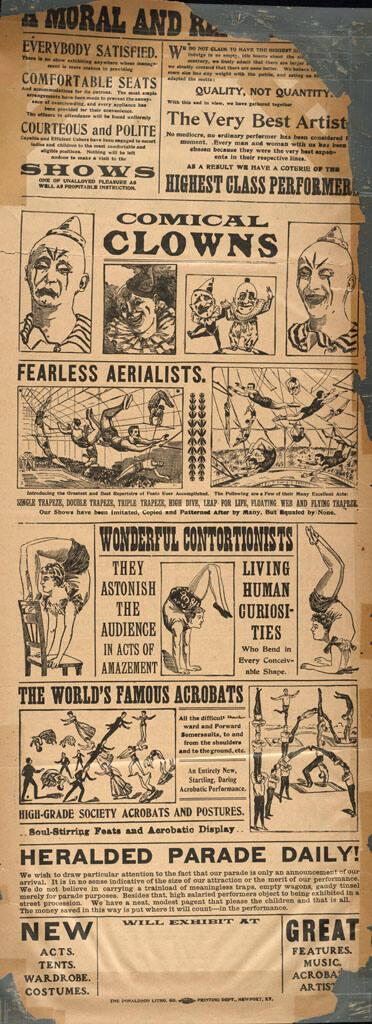 Arp's Great American: 1919