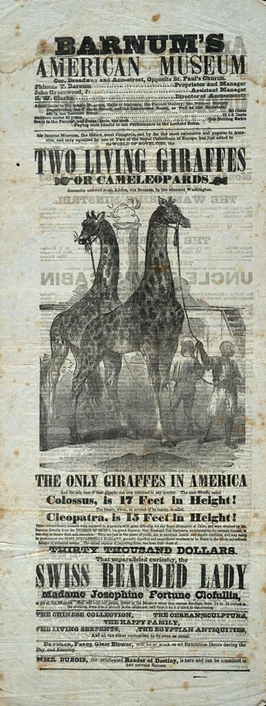 Barnum's American Museum: November 14-15, 1853