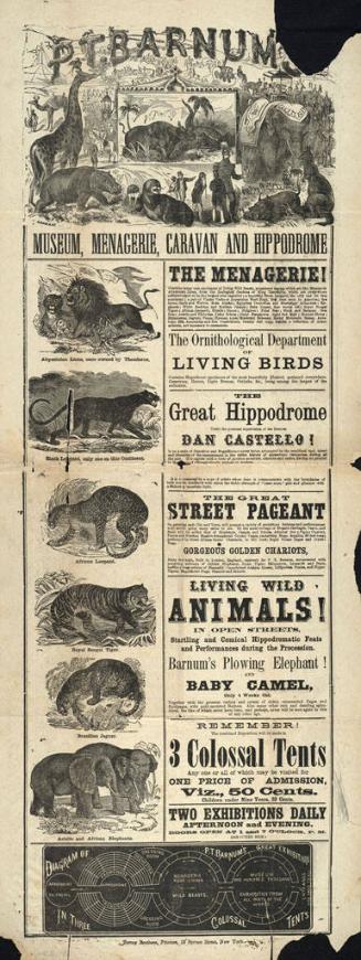 P.T. Barnum's Great Museum, Menagerie & Caravan & Hippodrome: September 23