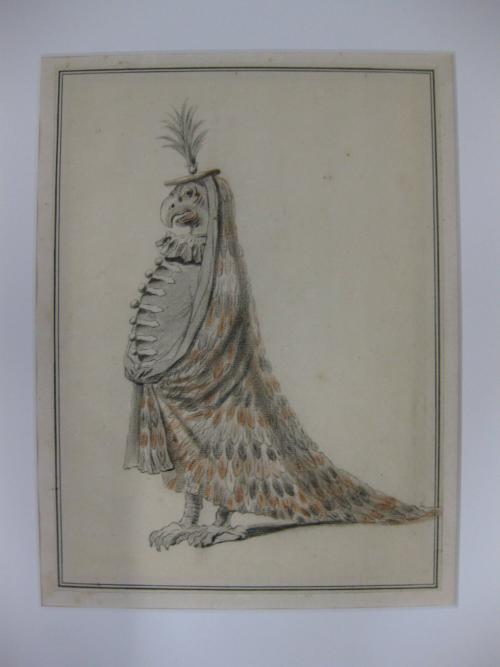 Costume for a Parrot with a Long Feather Train