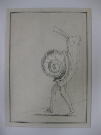 Costume for a Snail