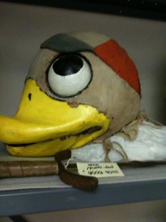 Big head of duck