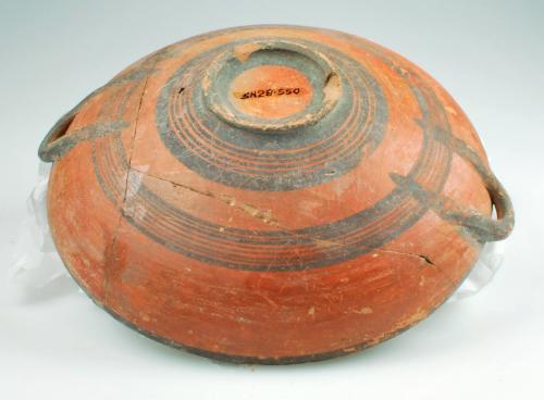 Bowl
