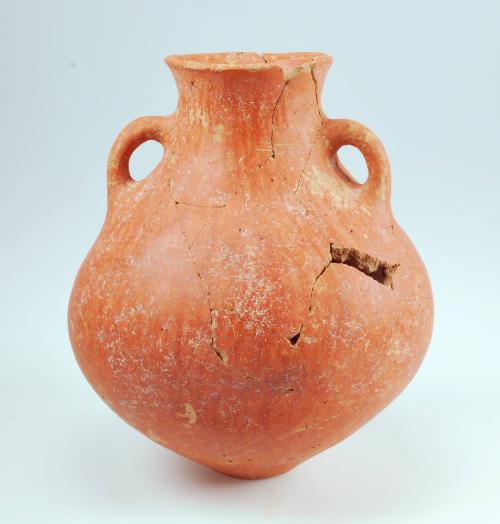 Amphora