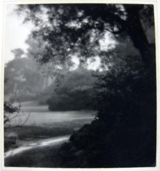Path Along the Woods