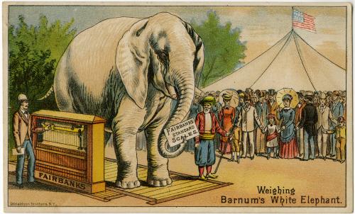Weighing Barnum's White Elephant