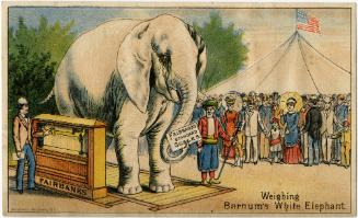 Weighing Barnum's White Elephant