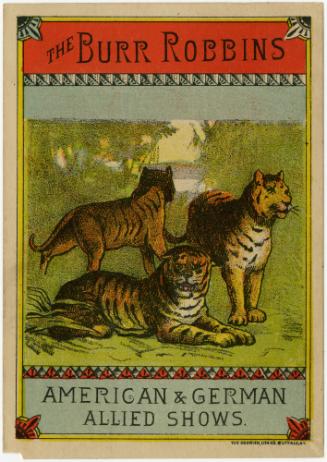 Burr Robbins: Tigers