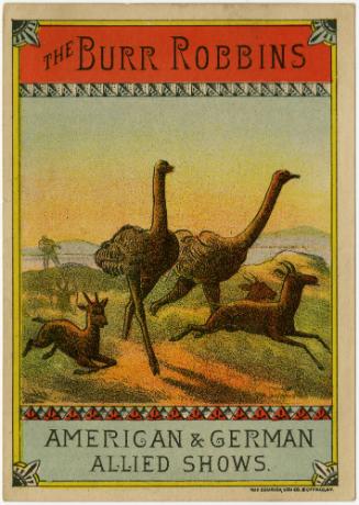 Burr Robbins: Ostrich