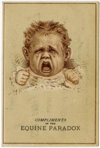 Compliments of the Equine Paradox: Crying Baby