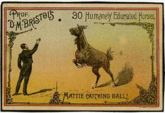 Professor D.M. Bristol: 30 Humanely Educated Horses: Mattie