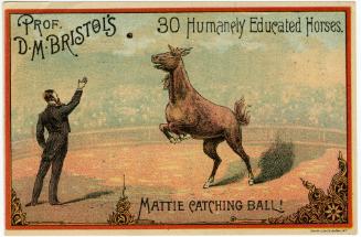 Professor D.M. Bristol: 30 Humanely Educatd Horses: Mattie