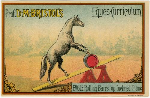 Professor D.M. Bristol: Equescurriculum